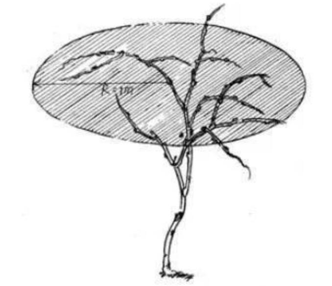 1720080922691700.jpg QQ截圖20240704155942.jpg