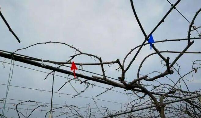 1720081489488546.jpg QQ截圖20240704160410.jpg