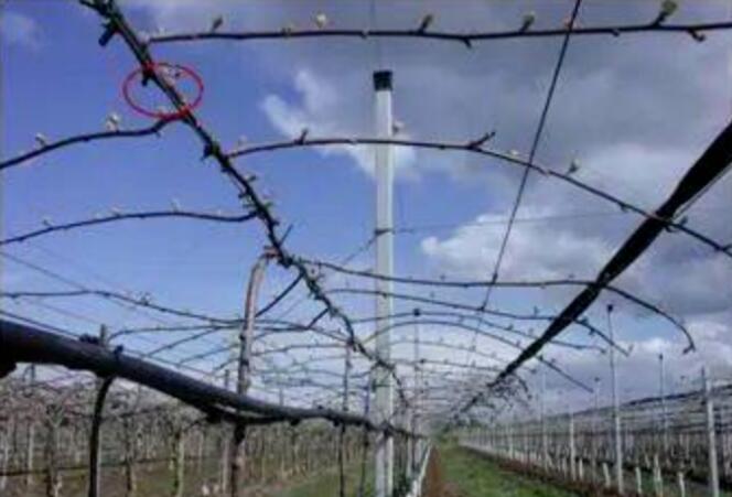 1720081572838974.jpg QQ截圖20240704160438.jpg