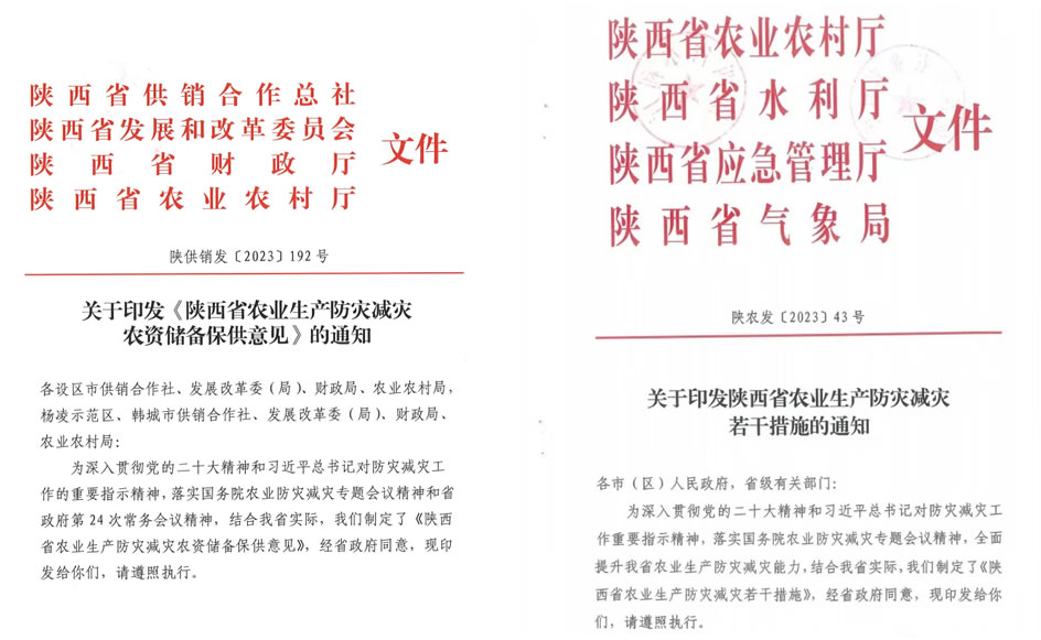 1720683257806382.jpg 345.jpg